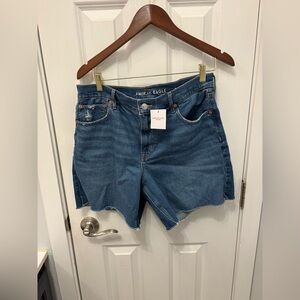 American Eagle Outfitters Classic Blue Jean Shorts